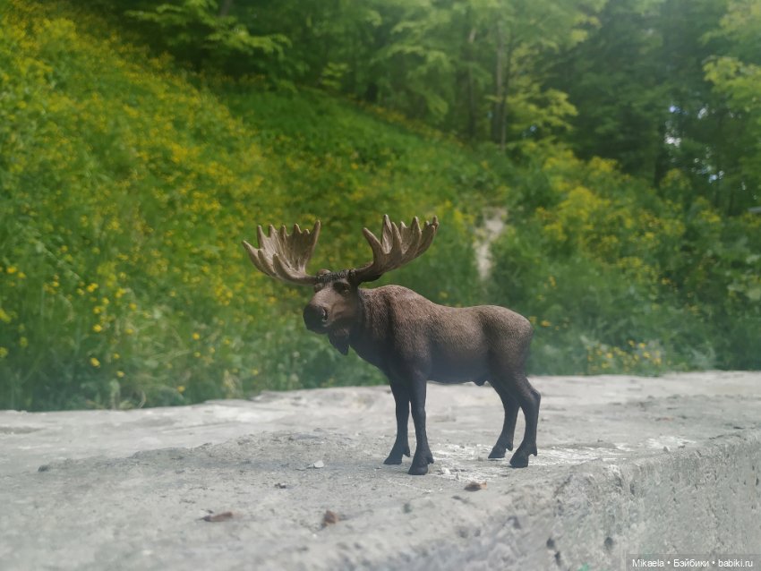 Расскажу как дело было — Интересное и необычное: фотоподборки (фото 6)