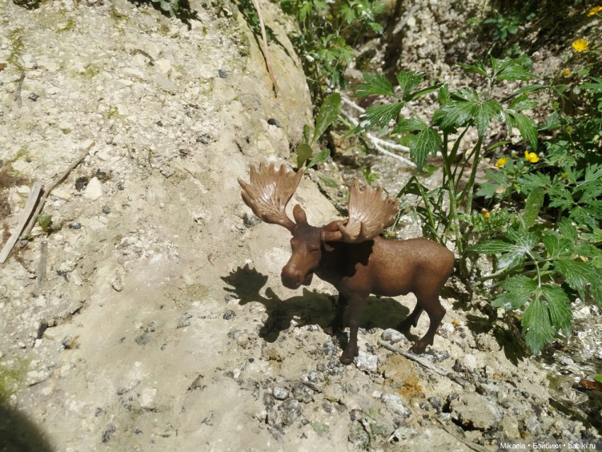 Расскажу как дело было — Интересное и необычное: фотоподборки (фото 8)