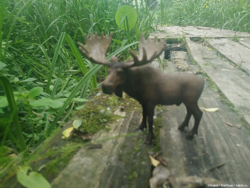 Расскажу как дело было — Интересное и необычное: фотоподборки (фото 7)