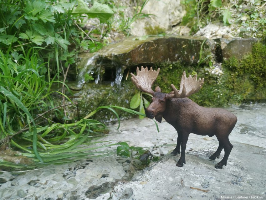 Расскажу как дело было — Интересное и необычное: фотоподборки