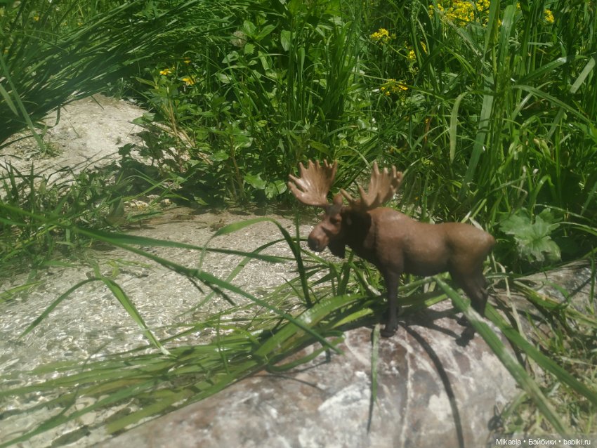 Расскажу как дело было — Интересное и необычное: фотоподборки (фото 5)