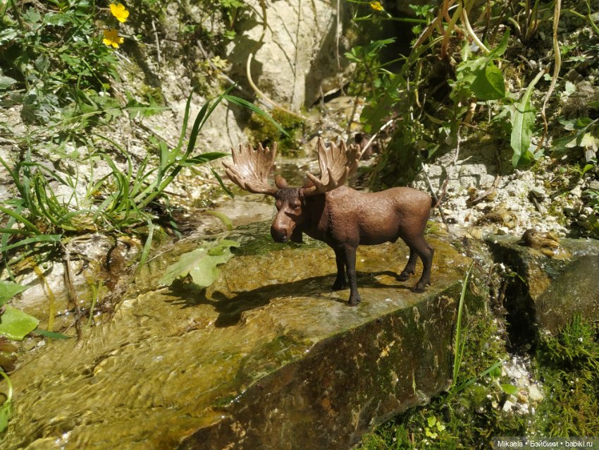 Расскажу как дело было — Интересное и необычное: фотоподборки (фото 9)