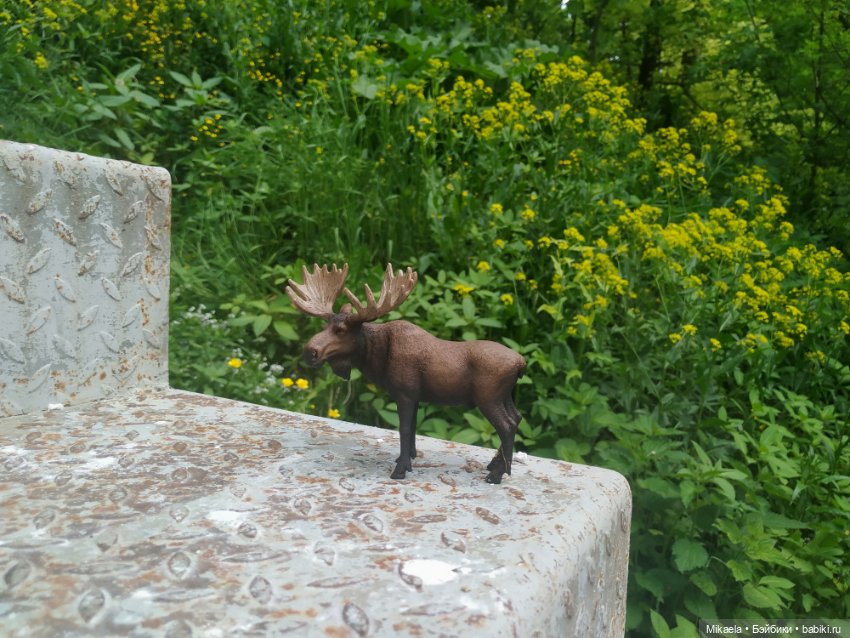 Расскажу как дело было — Интересное и необычное: фотоподборки (фото 2)