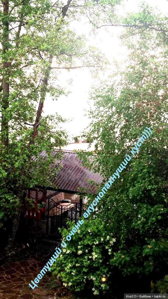 Миниотпуск-завершение — Туризм и путешествия: фотоотчеты из поездок