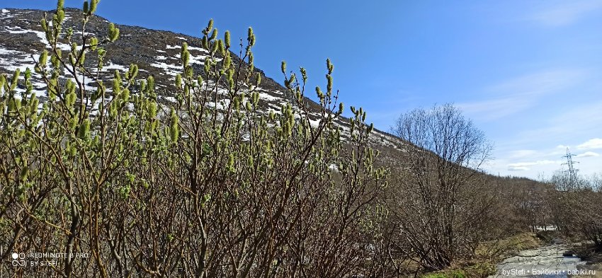 2 июня в Заполярье. И как выглядит час ночи