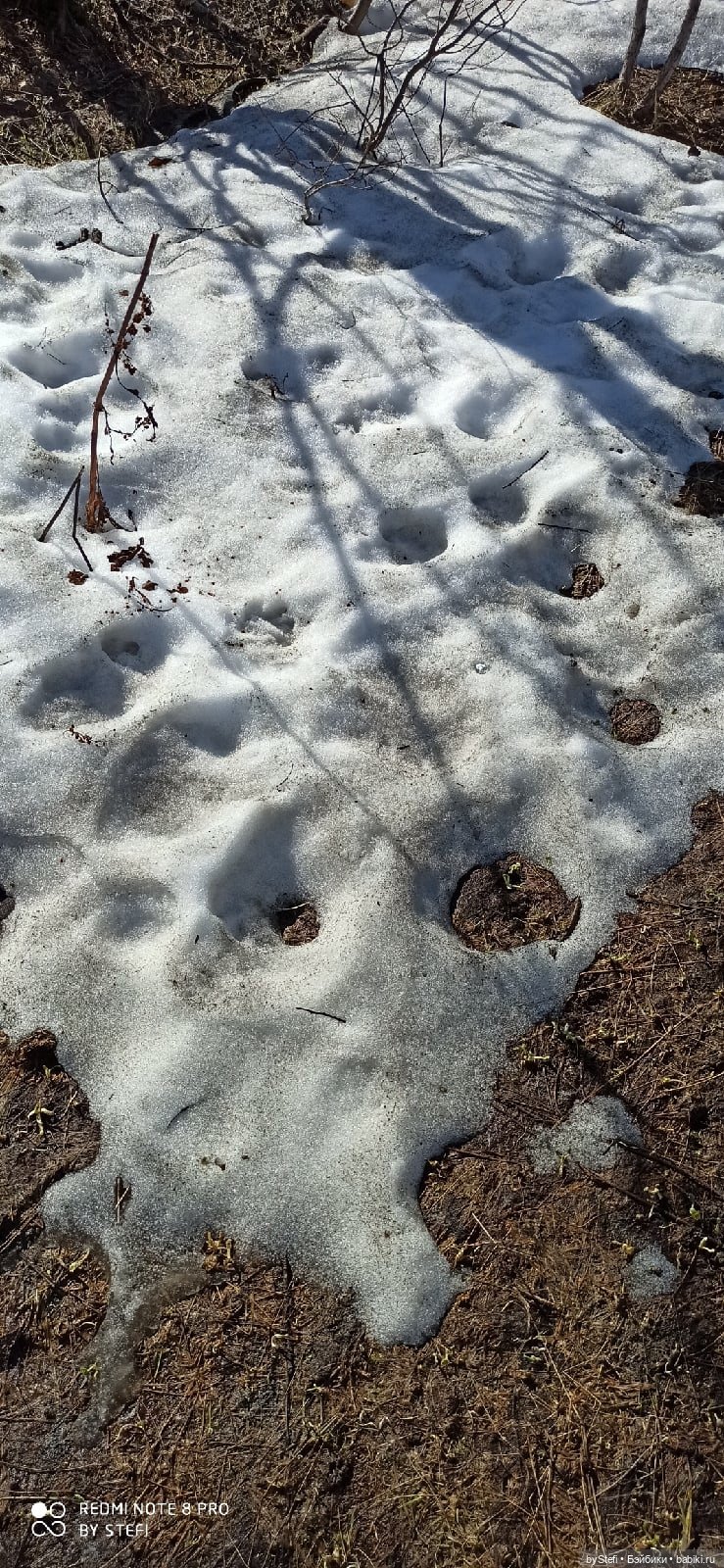 2 июня в Заполярье. И как выглядит час ночи