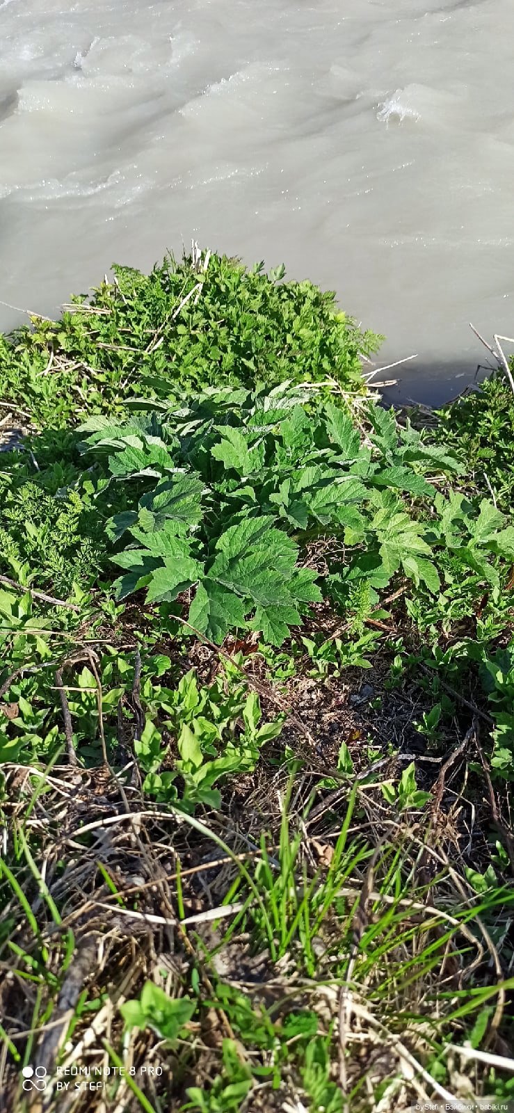 2 июня в Заполярье. И как выглядит час ночи