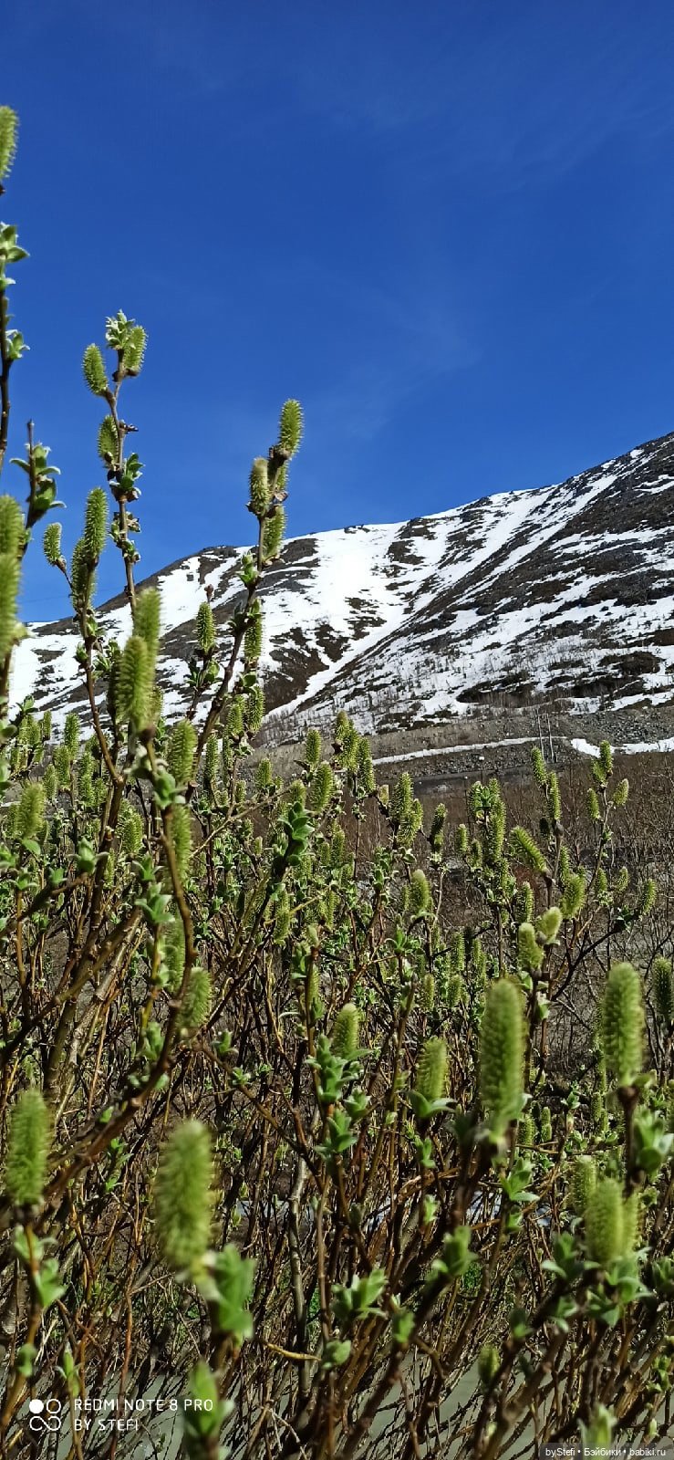 2 июня в Заполярье. И как выглядит час ночи