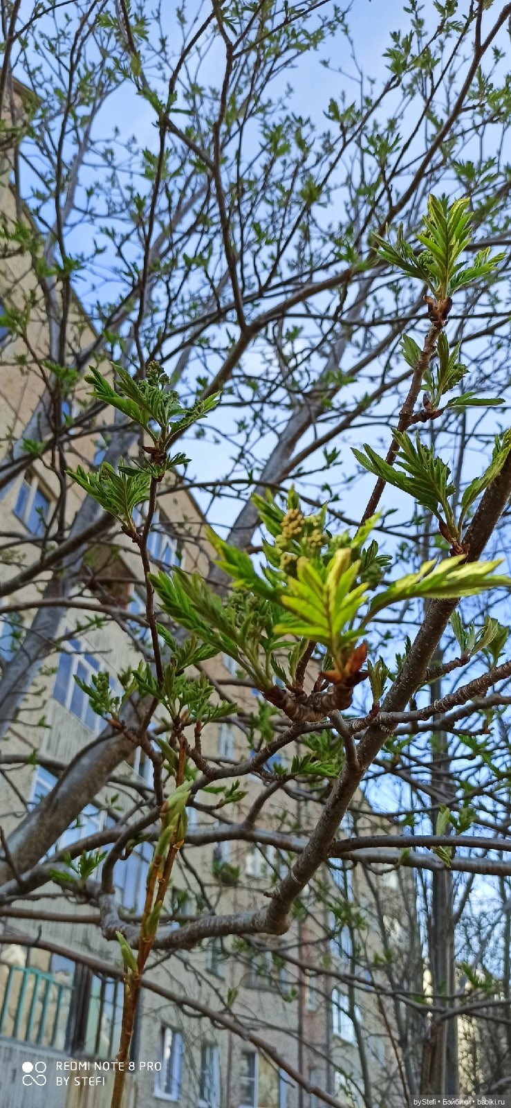 2 июня в Заполярье. И как выглядит час ночи