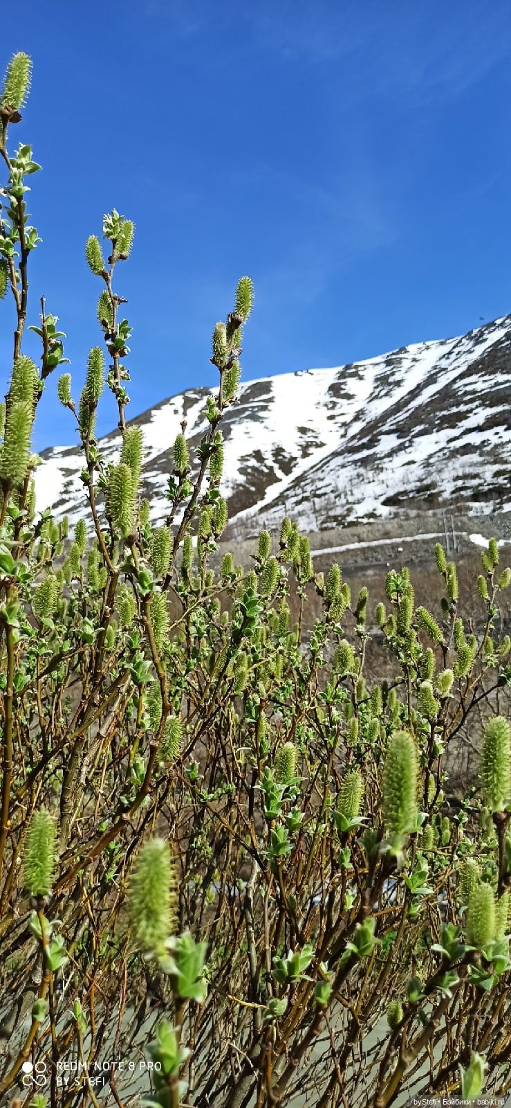 2 июня в Заполярье. И как выглядит час ночи