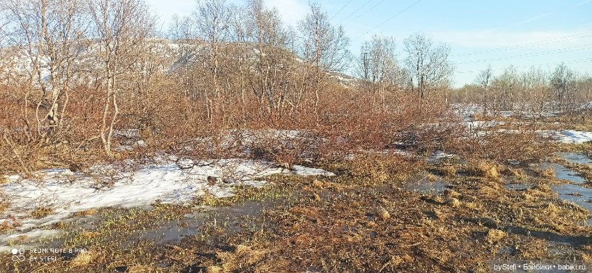 3 июня. Заполярье. Часть 2