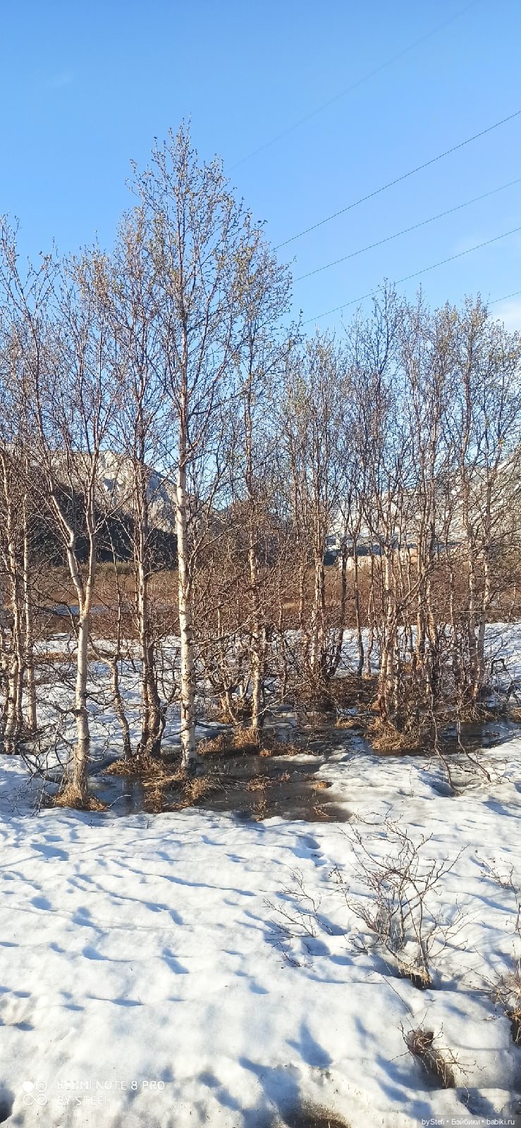 3 июня. Заполярье. Часть 2