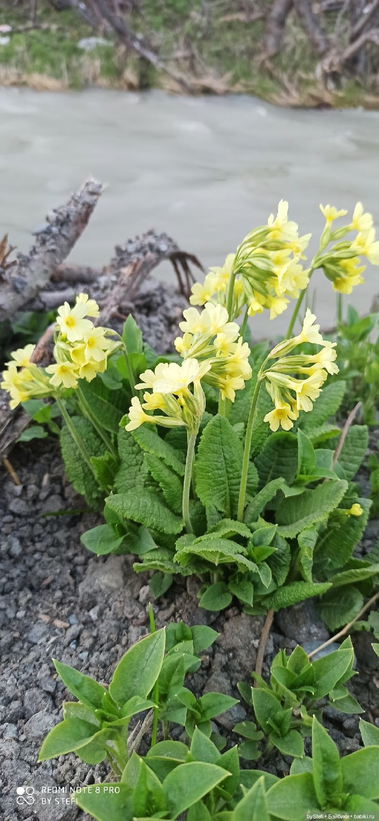 3 июня. Заполярье. Часть 3