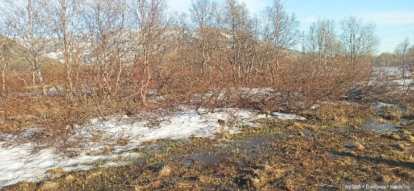 3 июня. Заполярье. Часть 3