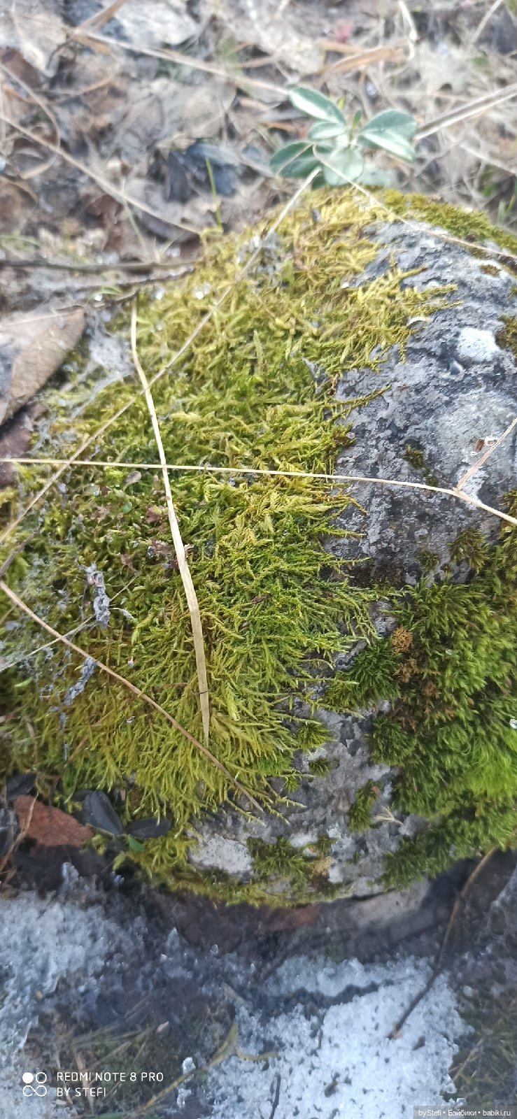 3 июня. Заполярье. Часть 1