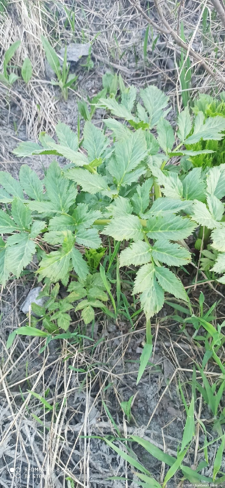 3 июня. Заполярье. Часть 3