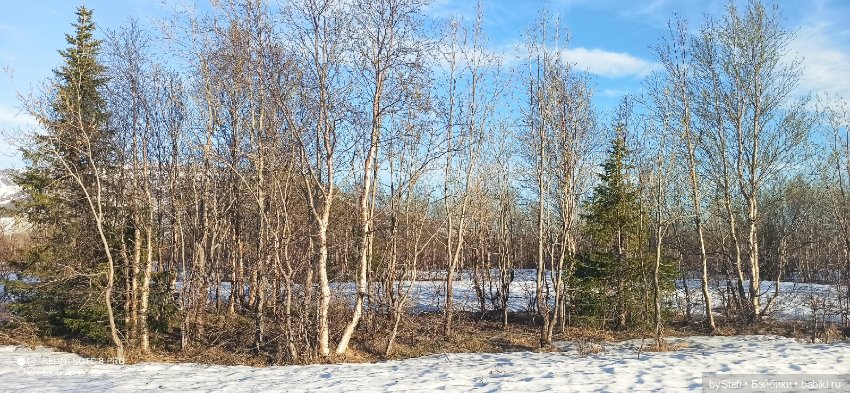 3 июня. Заполярье. Часть 1