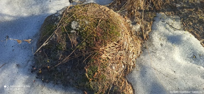 3 июня. Заполярье. Часть 1