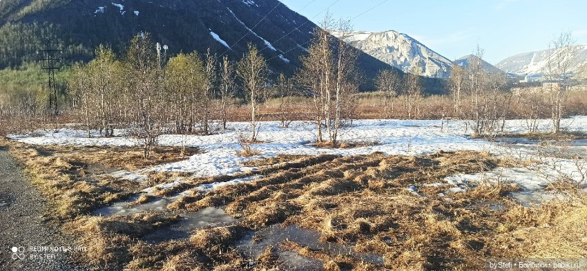 3 июня. Заполярье. Часть 2