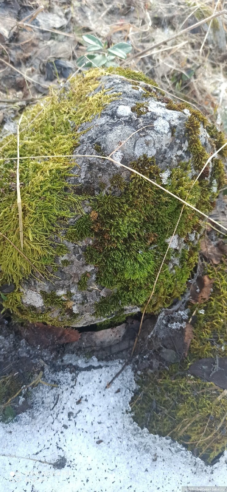 3 июня. Заполярье. Часть 1