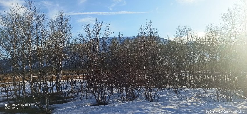 3 июня. Заполярье. Часть 2