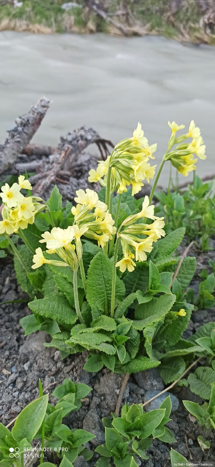 3 июня. Заполярье. Часть 3