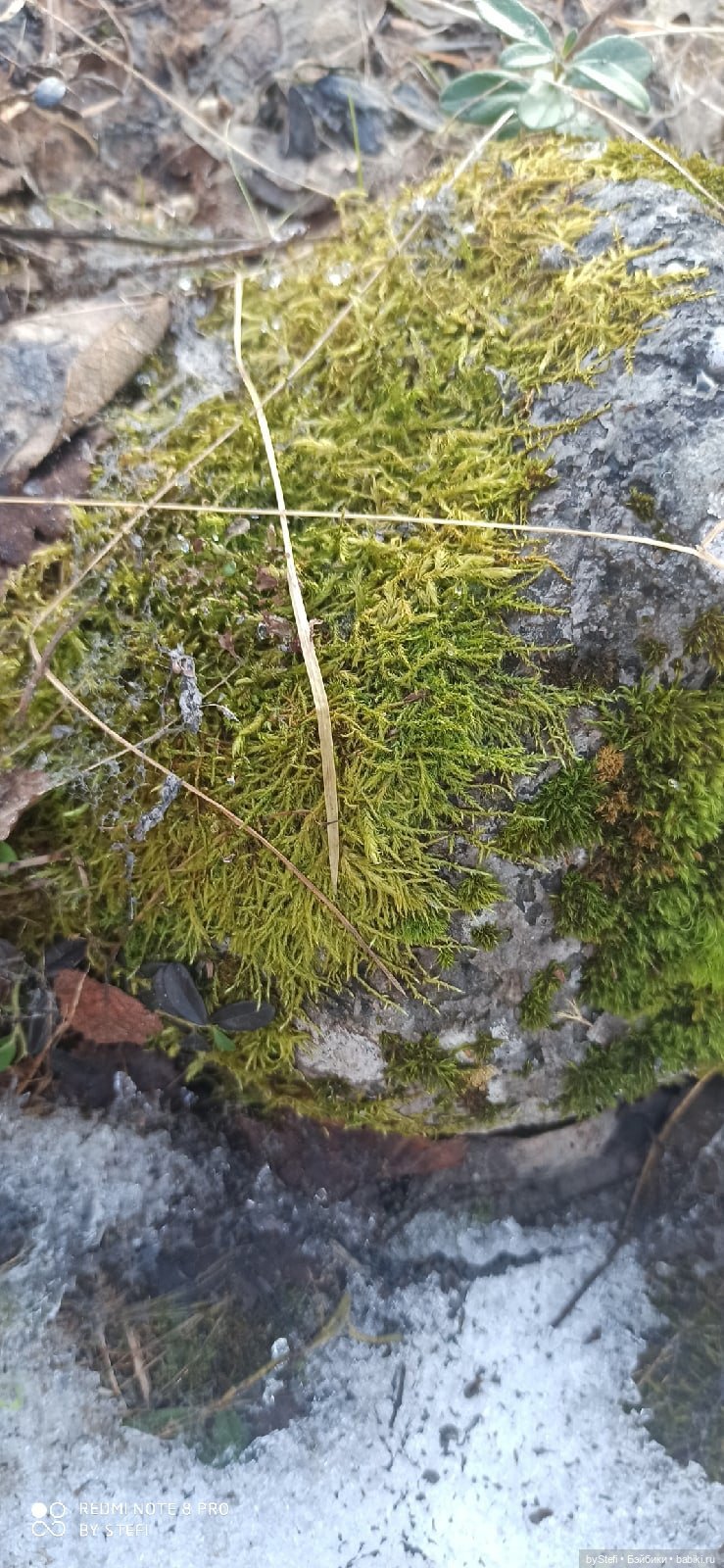 3 июня. Заполярье. Часть 1