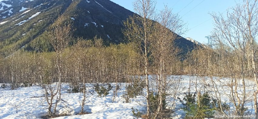 3 июня. Заполярье. Часть 2