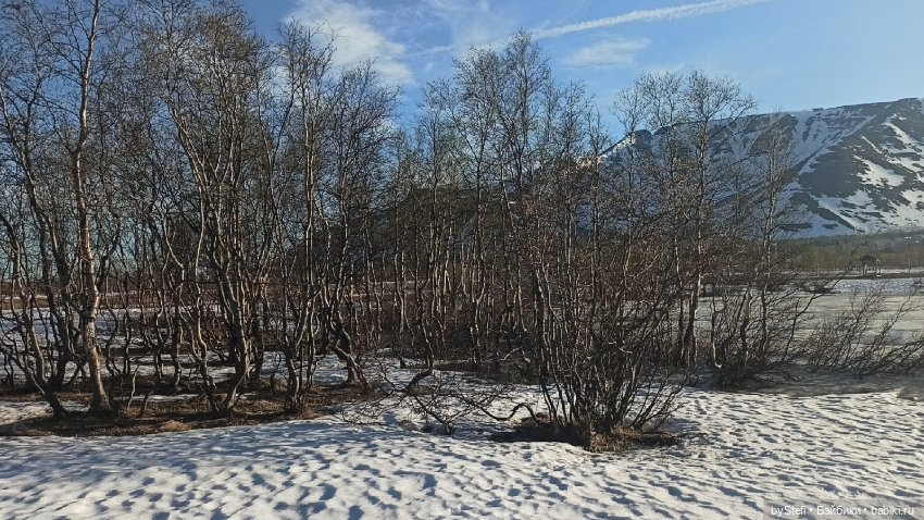 3 июня. Заполярье. Часть 2