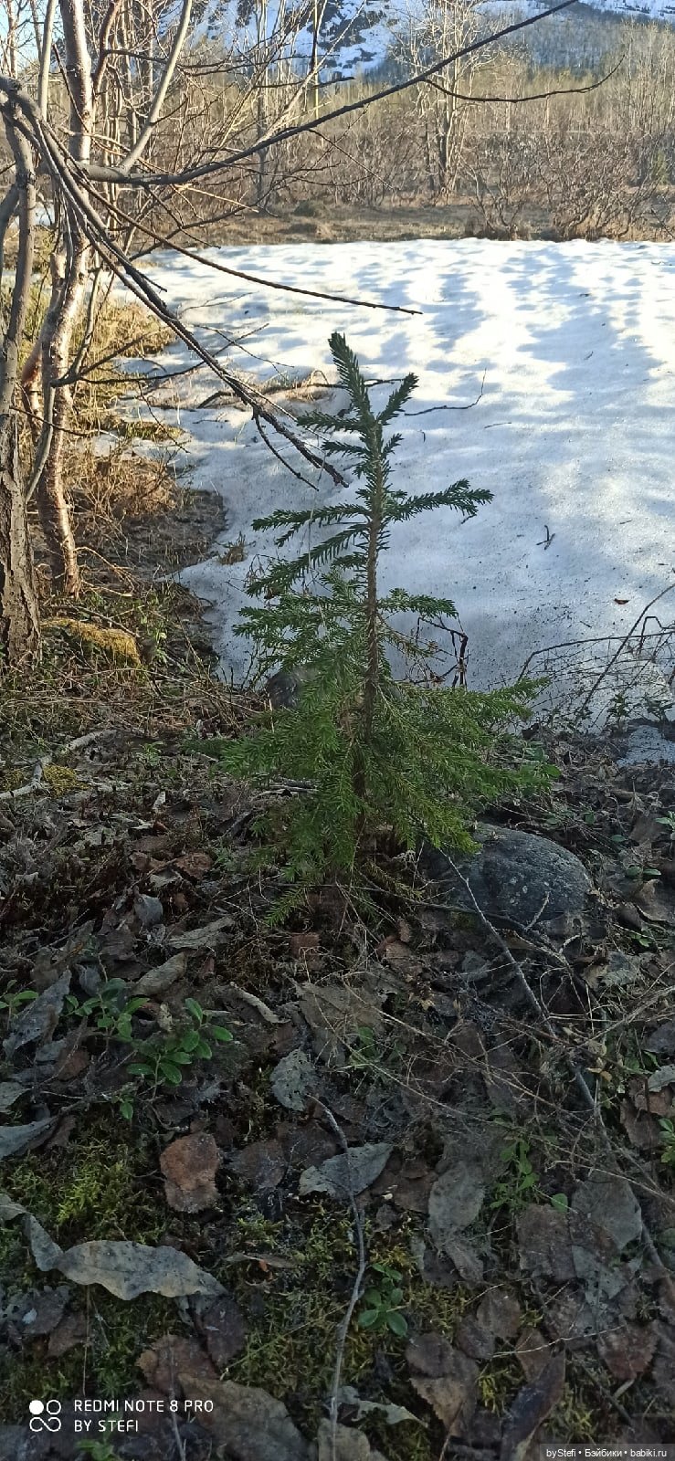 3 июня. Заполярье. Часть 1