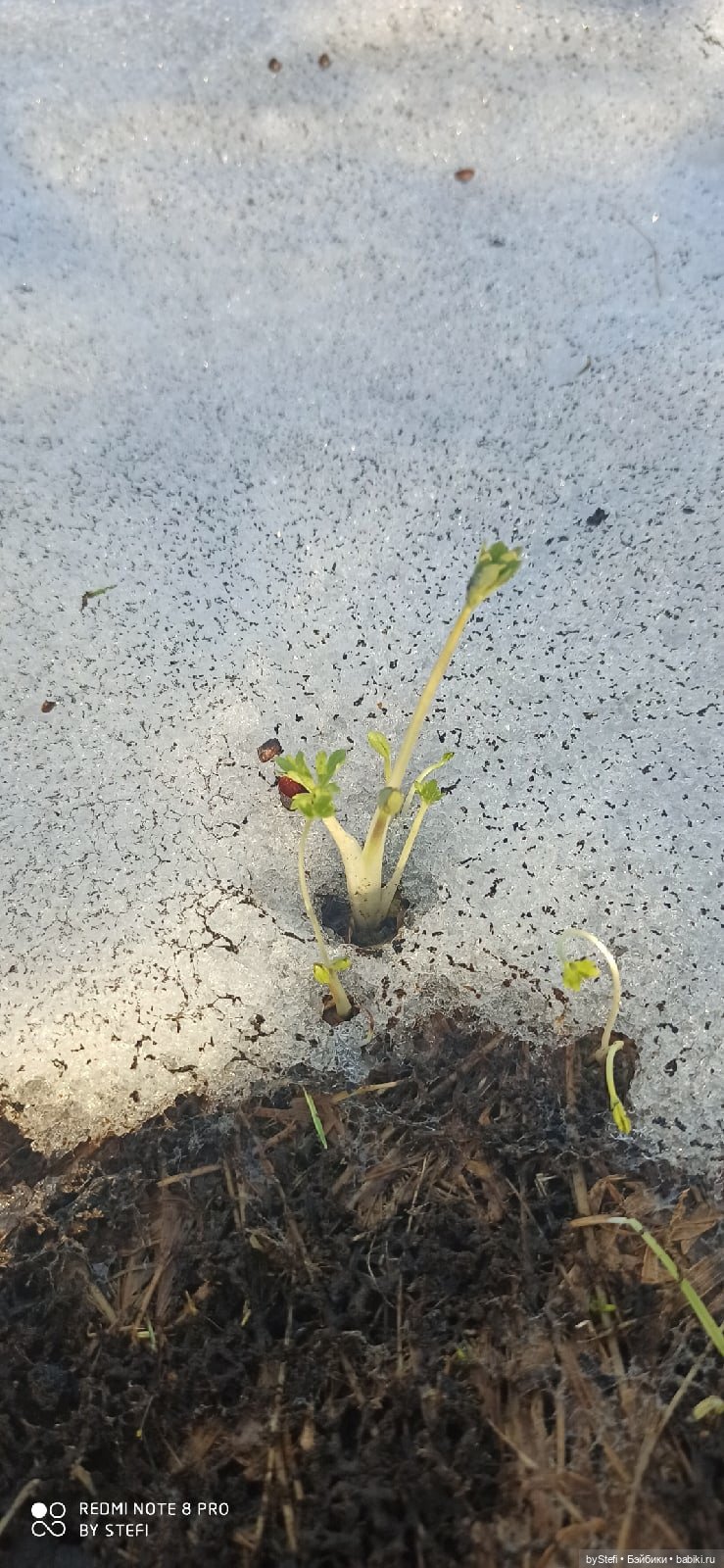 3 июня. Заполярье. Часть 1