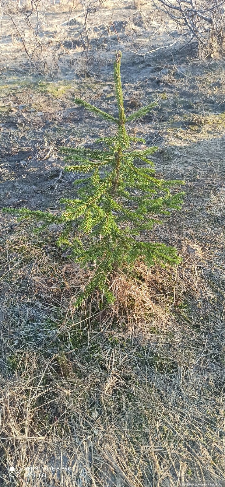 3 июня. Заполярье. Часть 1