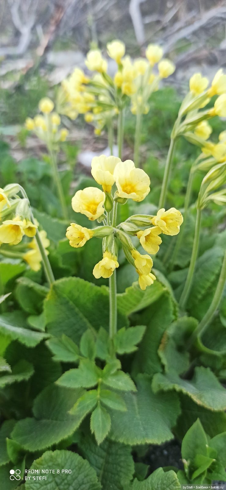 3 июня. Заполярье. Часть 3