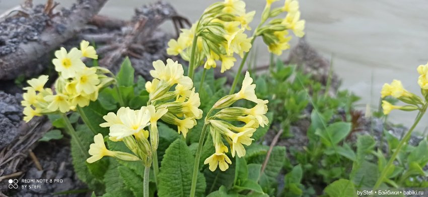 3 июня. Заполярье. Часть 3