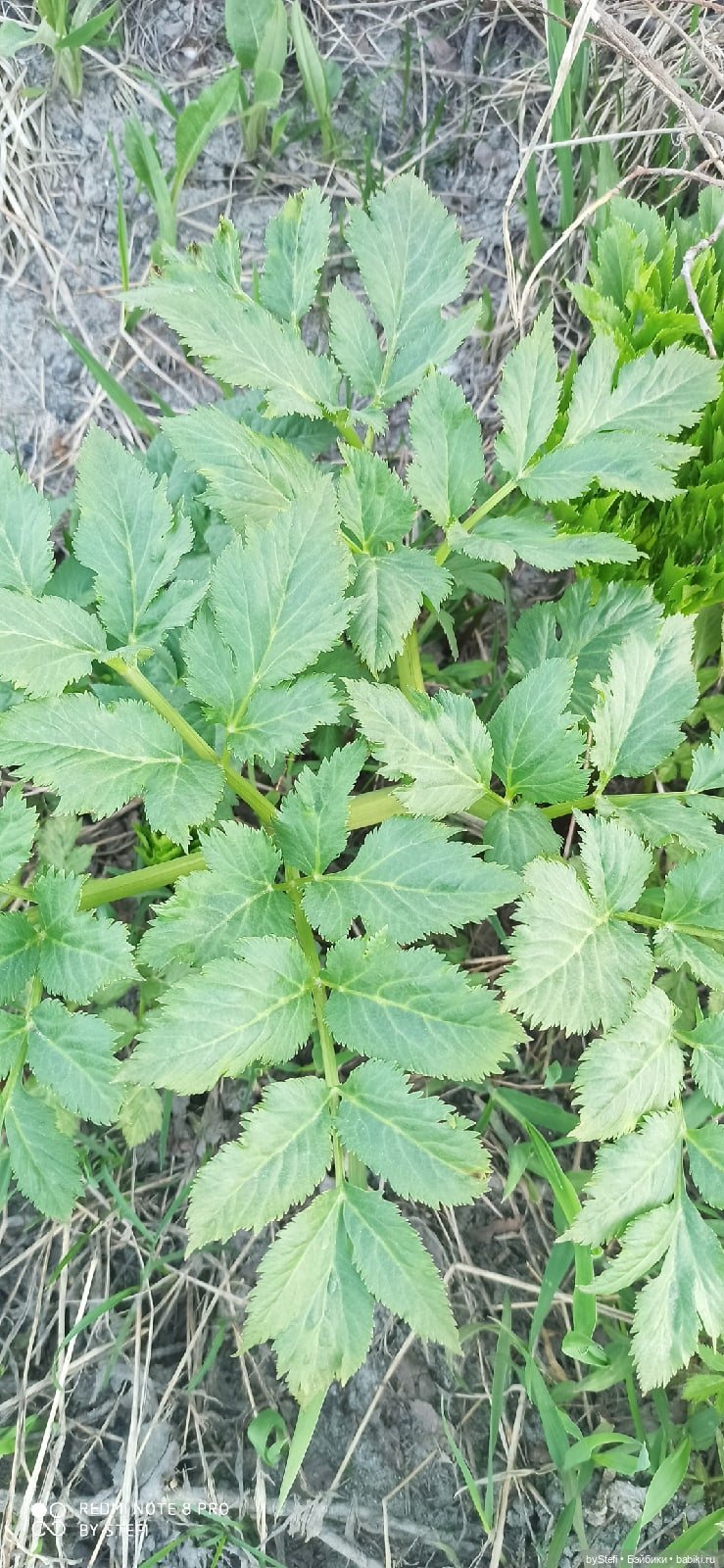 3 июня. Заполярье. Часть 3