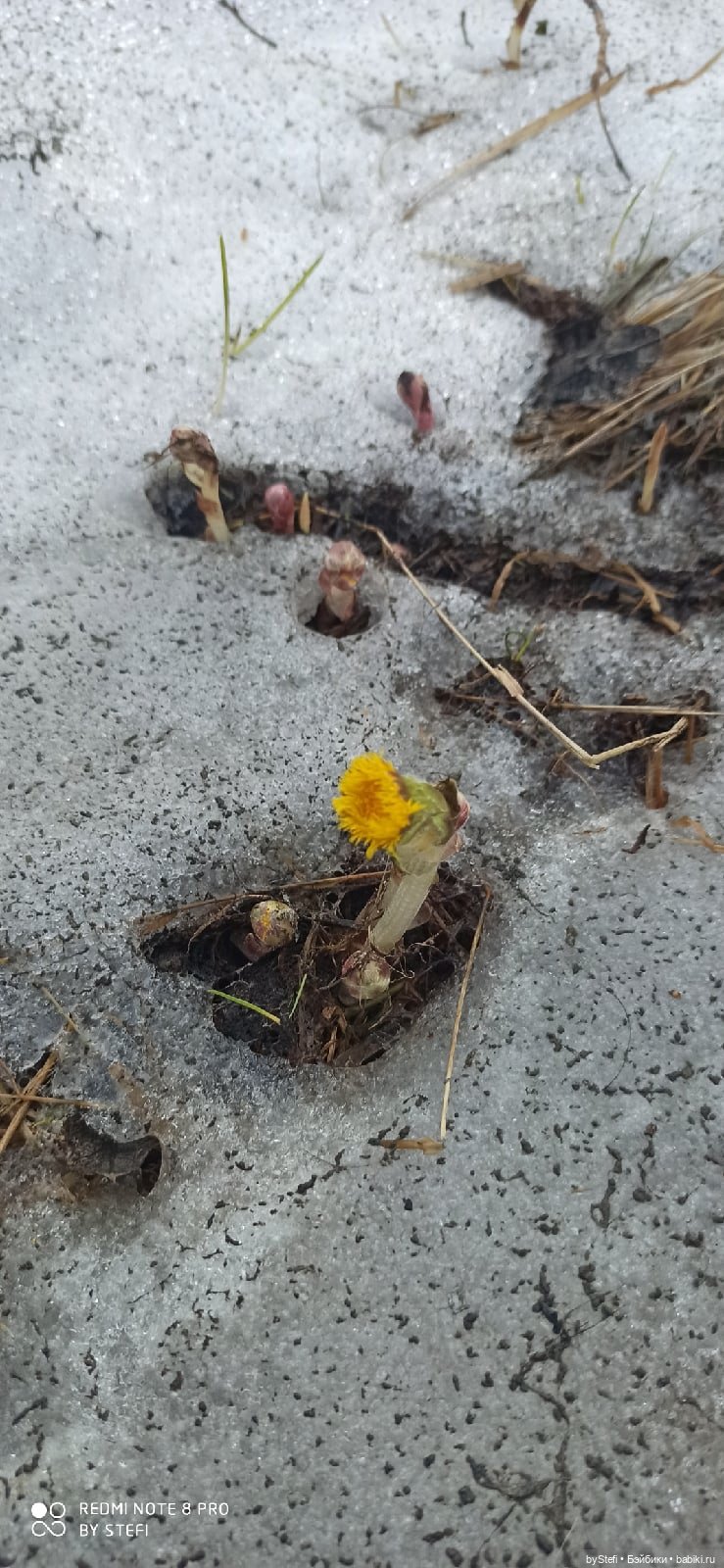 3 июня. Заполярье. Часть 3