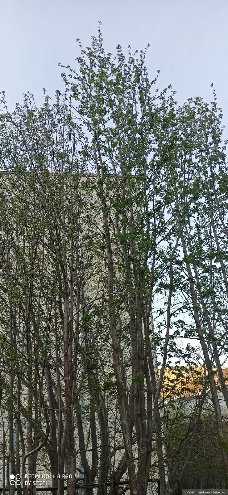 3 июня. Заполярье. Часть 3