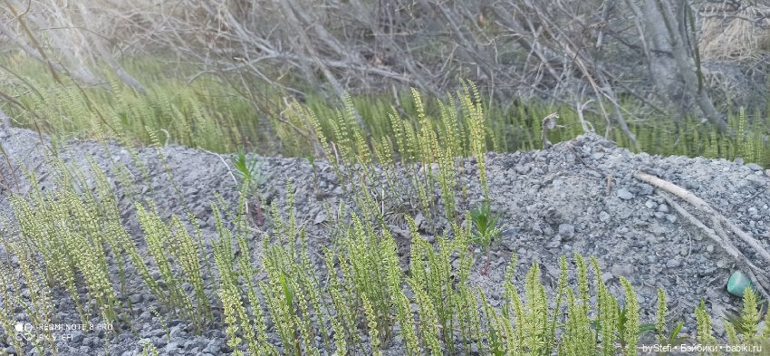 3 июня. Заполярье. Часть 3