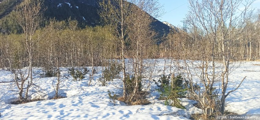 3 июня. Заполярье. Часть 2