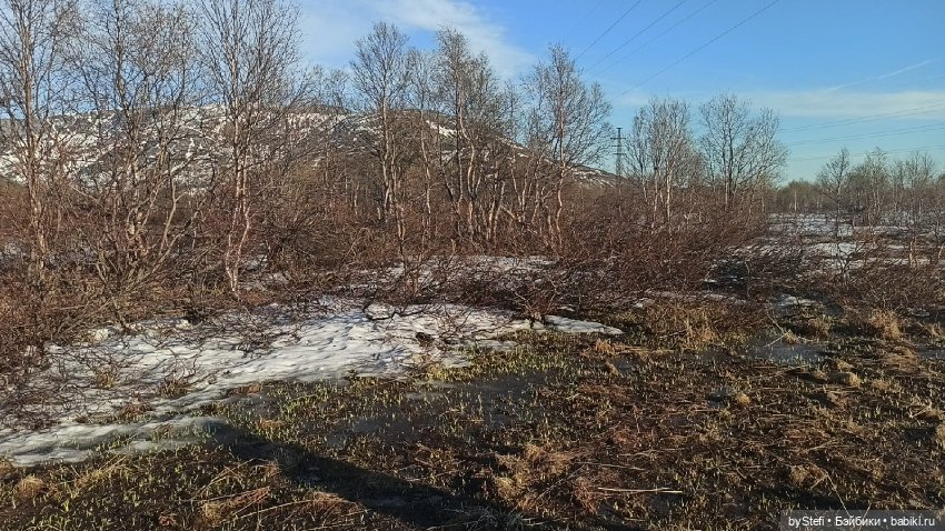 3 июня. Заполярье. Часть 3