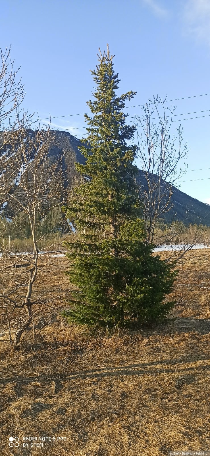 3 июня. Заполярье. Часть 1
