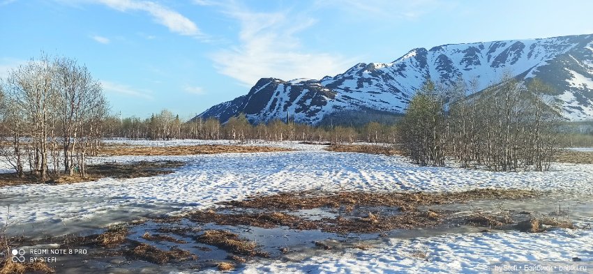 3 июня. Заполярье. Часть 2 (фото 3)