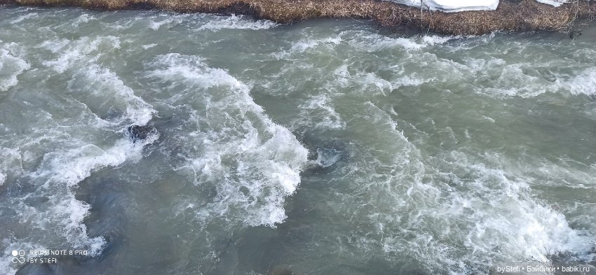 3 июня. Заполярье. Часть 1 (фото 7)