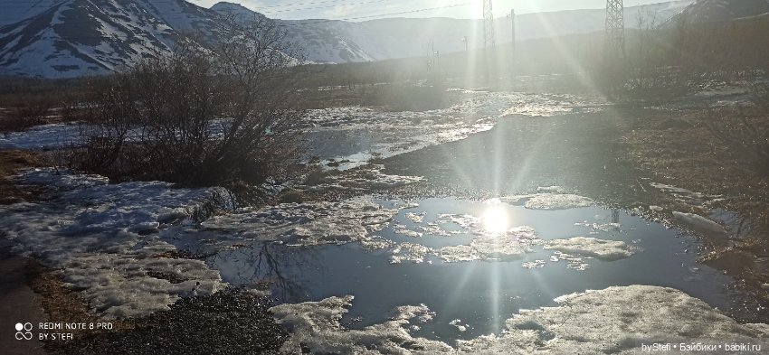 3 июня. Заполярье. Часть 3 (фото 5)