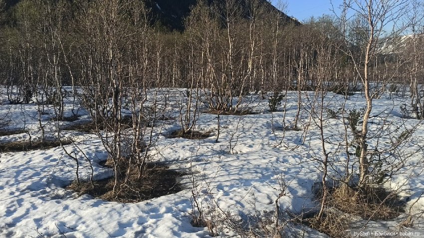 3 июня. Заполярье. Часть 2