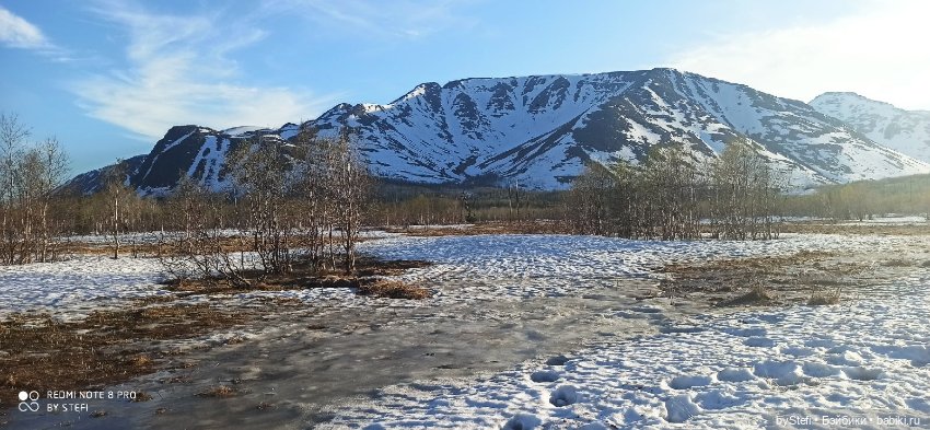 3 июня. Заполярье. Часть 2 (фото 4)