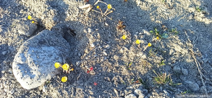 3 июня. Заполярье. Часть 1