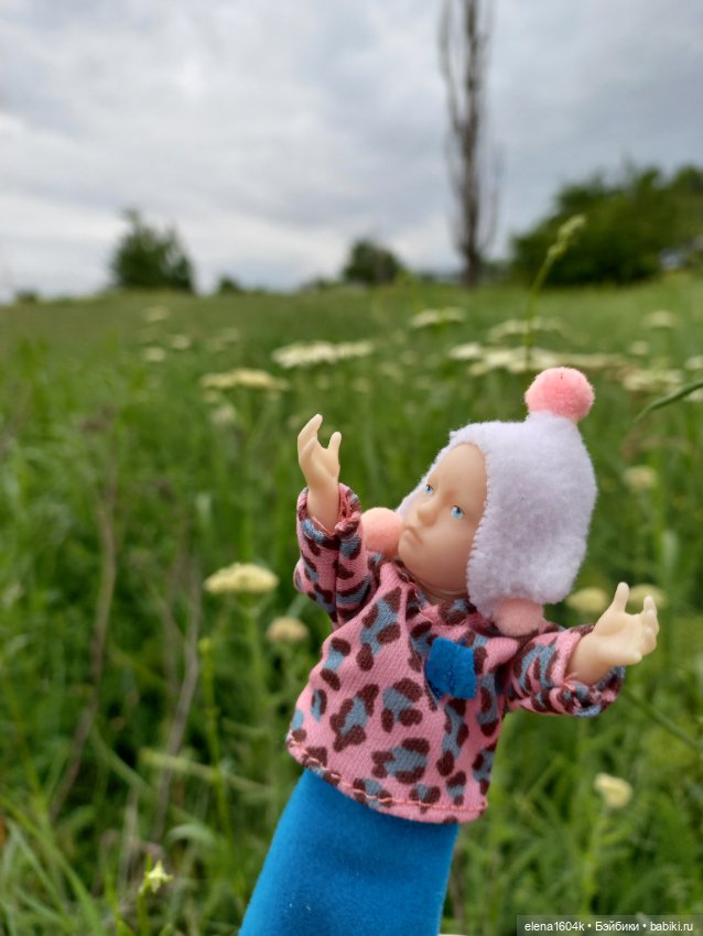 Степь да степь кругом — Куклы Минимир (Minimir): Пупсы 7 и 11 см