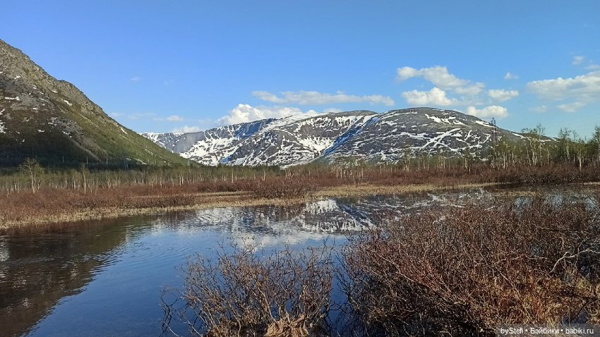 4 июня в Заполярье — Красивая природа и цветы: фото пейзажей (фото 6)