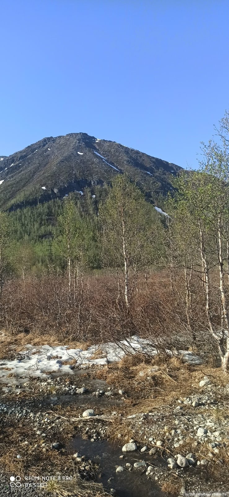 4 июня в Заполярье — Красивая природа и цветы: фото пейзажей